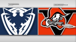 Voltigeurs4.jpg