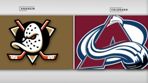 Ducks 3 - Avalanche 4 (Prol.)