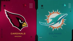 Cardinals 28 - Dolphins 27