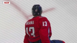 Vrana.jpg