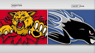 Wildcats 2 - Sea Dogs 3 (Prolongation)