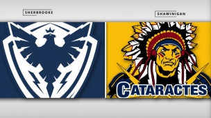 Phoenix 4 - Cataractes 2