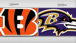 Bengals.jpg