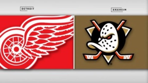 Red Wings 4 - Ducks 6