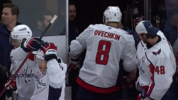 ovi8.jpg