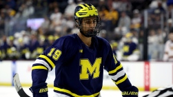 Michigan hockey.jpg