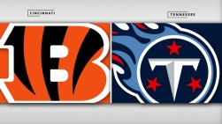 Bengals4.jpg