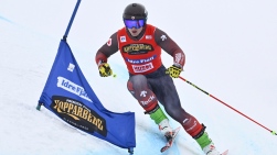 ski cross.jpg