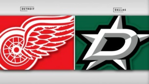 Red Wings 1 - Stars 4