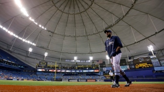 Tropicana Field Tropicana Field