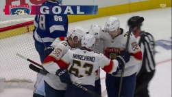 panthers.jpg