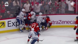 domi.jpg