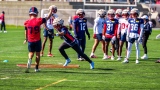 Alouettes
