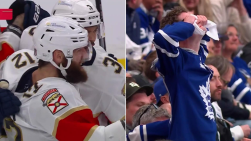 Gadjovich2.png