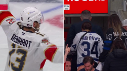 Reinhart2.png