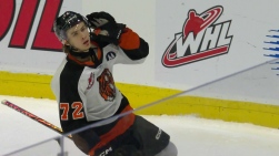 Image1.jpg