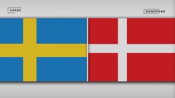 suede danemark.jpg