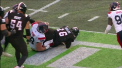 alouettes.jpg