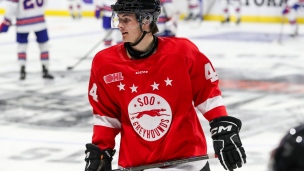 Le meilleur de Brady Martin