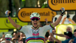 tdf.png