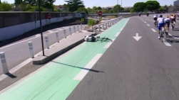tdf.jpg