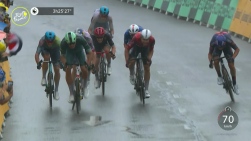 tdf.jpg