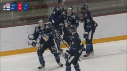 Koivu.jpeg