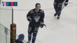 Koivu2.jpeg