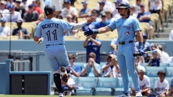 Jays3.jpg