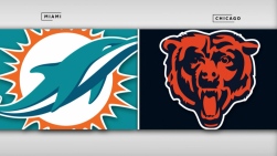 Dolphins.jpg