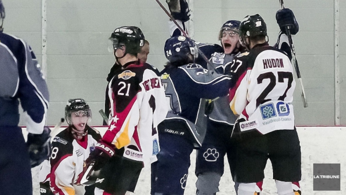 Cougars de Sherbrooke