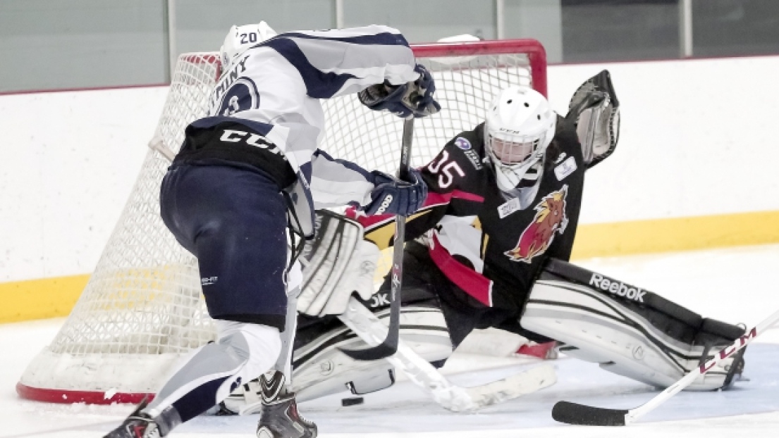 Cougards de Sherbrooke