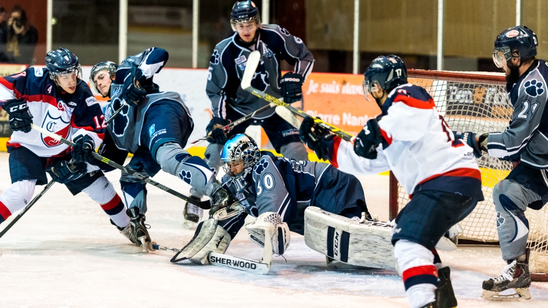 Collège Français Longueuil Cougars Sherbrooke