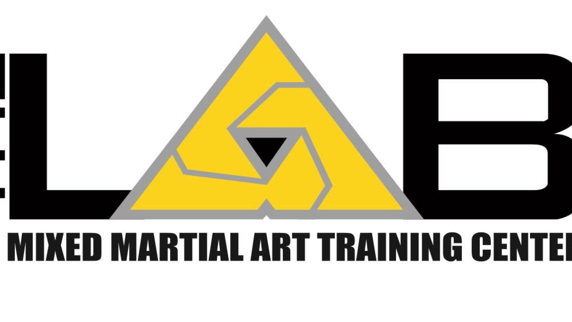 MMA LAB