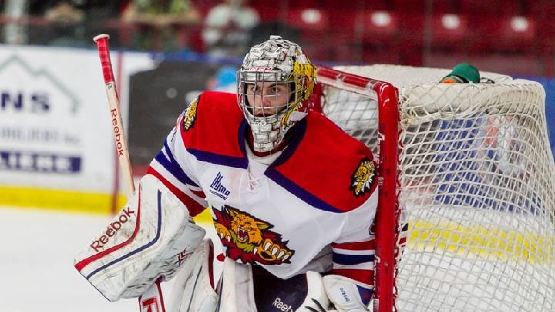 Alex Dubeau avec les Wildcats de Moncton!