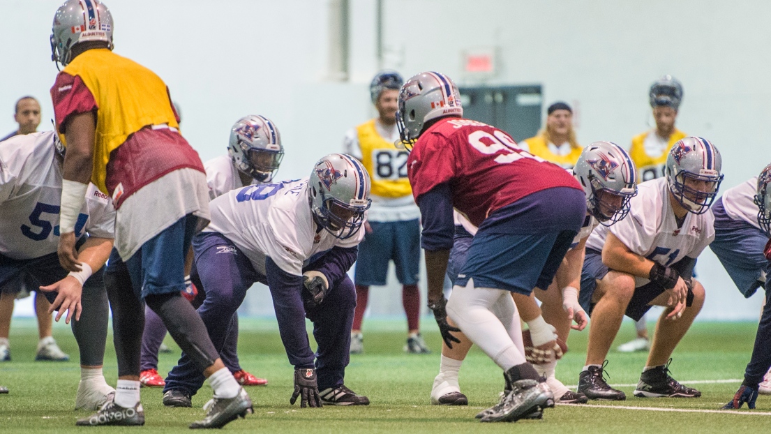 Les Alouettes à l'entraînement 