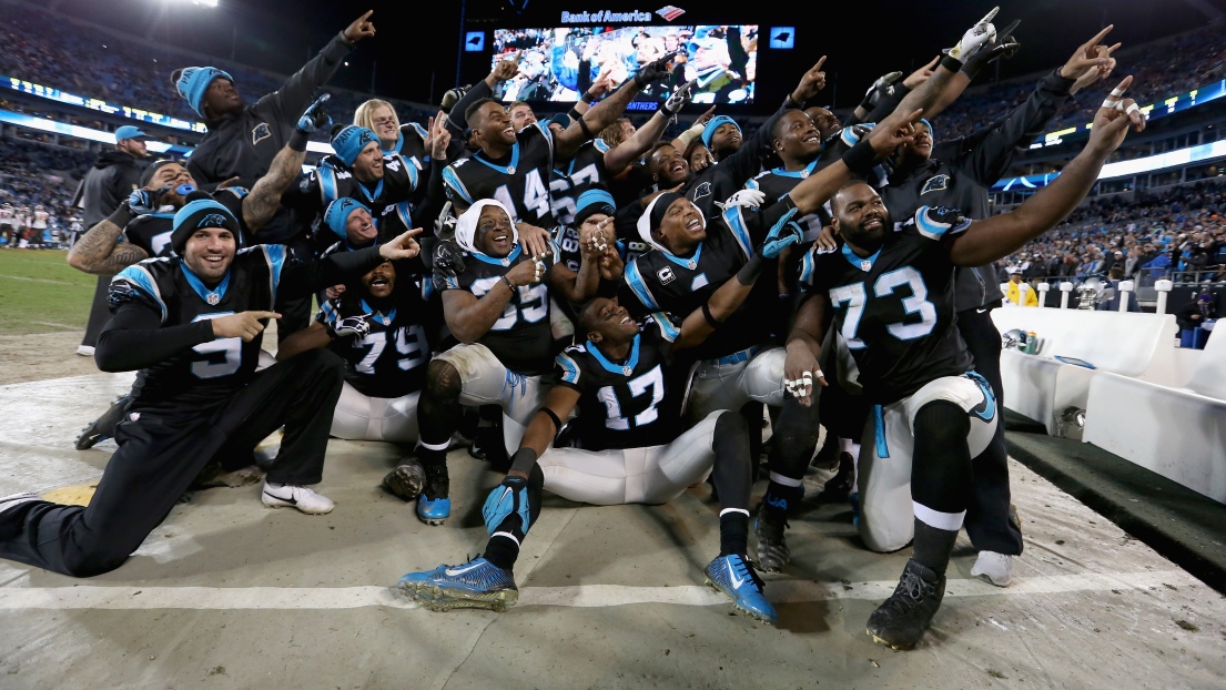 Panthers