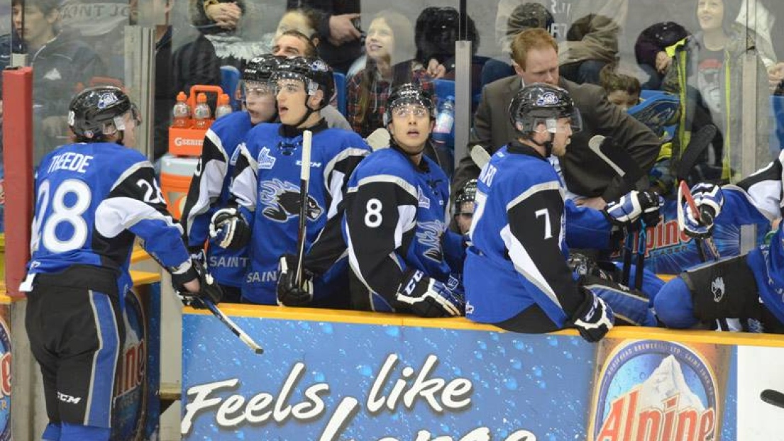 Lea Sea Dogs de Saint John