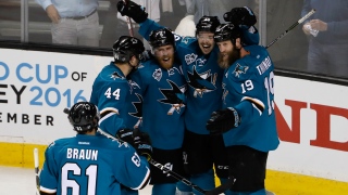 Les Sharks