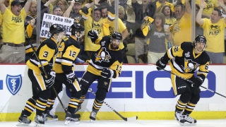 Penguins Penguins
