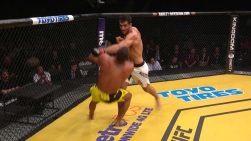 mousasi1.jpg