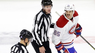Andrew Shaw