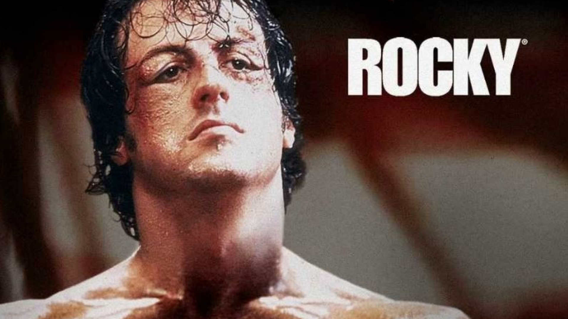 Rocky 40 ans