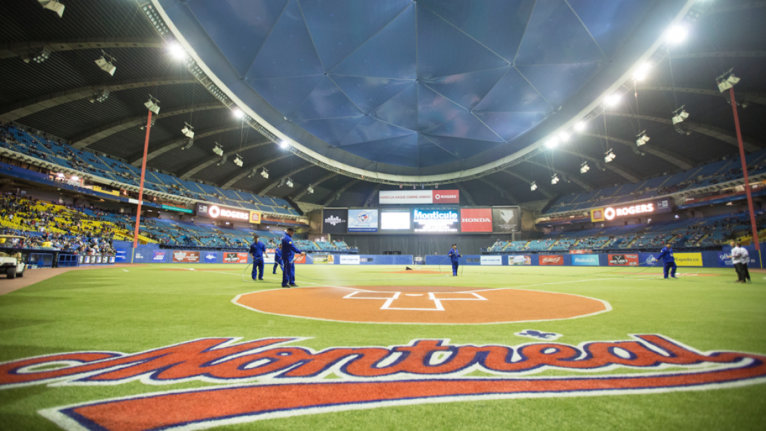 Expos au Stade