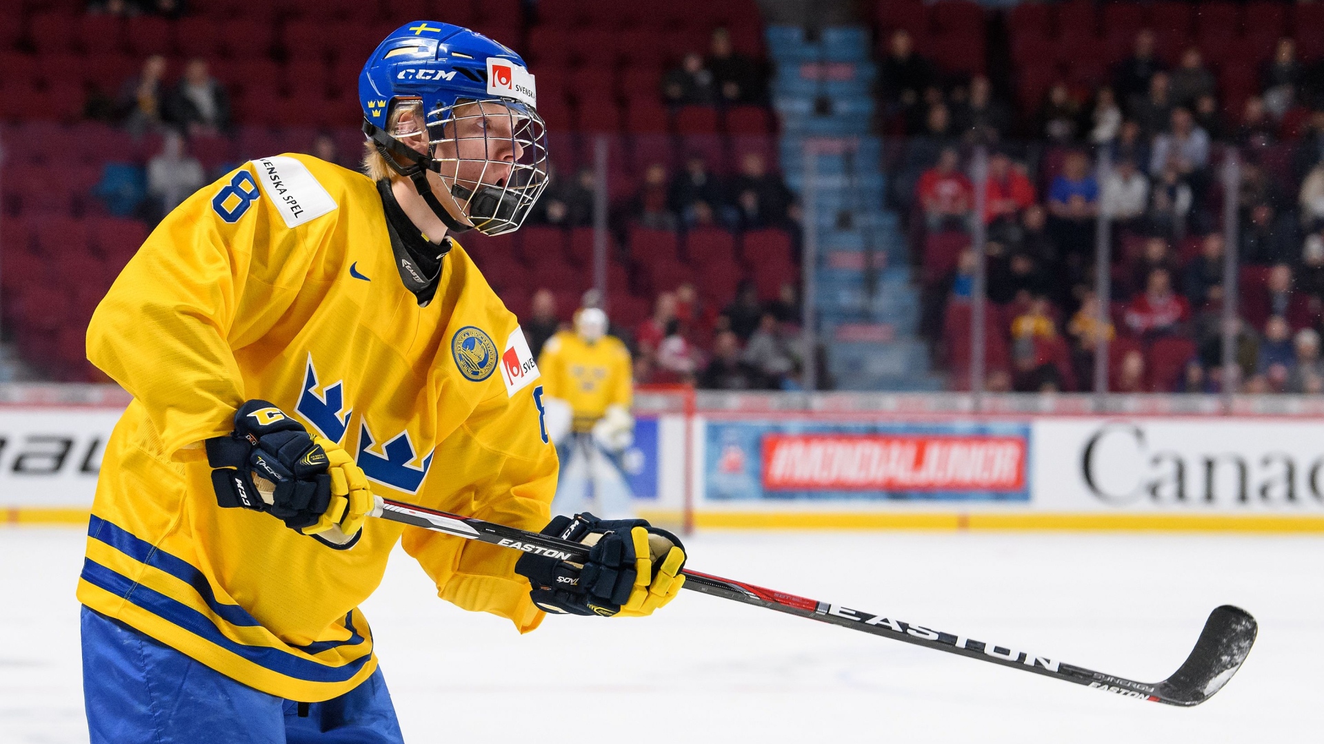 Rasmus Dahlin