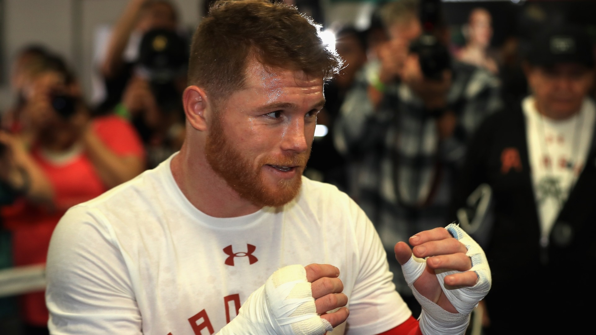 Canelo.jpg