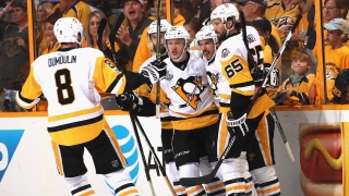 Penguins Penguins