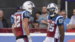 ALOUETTES3.jpg