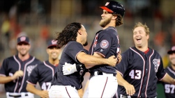 Nats22.jpg