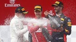 F1.jpg